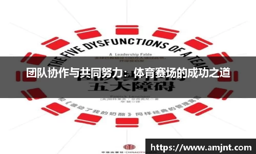 团队协作与共同努力：体育赛场的成功之道